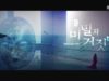秘密と嘘 1話 動画