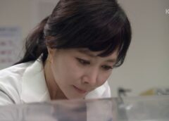優雅な母娘 1話の動画