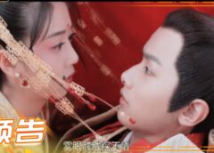 皇太子妃はシンデレラ 1話の動画