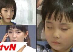 福寿草 103話の動画