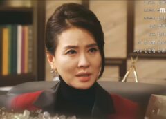 秘密と嘘 104話の動画