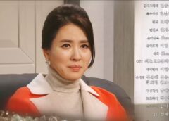 秘密と嘘 108話の動画