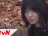 家族の秘密 11話 動画