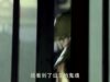 大唐見聞録 11話 動画