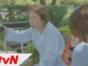 ディアマイフレンズ 11話 動画