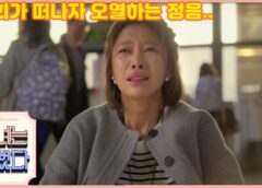 彼女はキレイだった 11話の動画