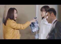 あなたを見つけたい 11話の動画