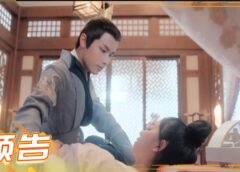 皇太子妃はシンデレラ 11話の動画
