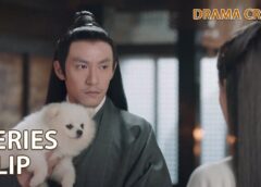 運命の桃花 11話の動画