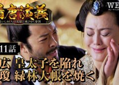 隋唐演義 11話の動画