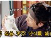 馬医 11話の動画