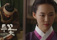 緑豆の花 11話の動画