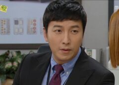 レディの品格 113話の動画