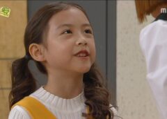 レディの品格 117話の動画
