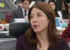 レディの品格 119話の動画