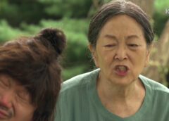 恋するダルスン 12話の動画