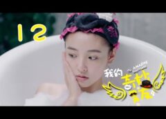 私の妖怪彼氏 12話の動画