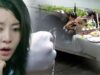 青の食堂 12話の動画