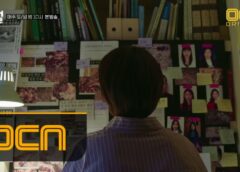 愛の迷宮 12話の動画