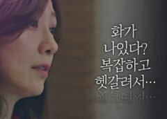 夫婦の世界 12話の動画