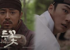 緑豆の花 12話の動画