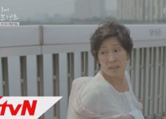 ディアマイフレンズ 13話 動画