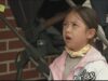 レディの品格 13話の動画
