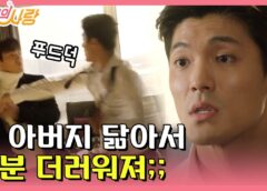 ピョン･ヒョクの恋 13話の動画