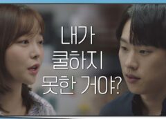 風が吹く 13話の動画