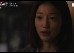 ハピネスバトル 13話の動画