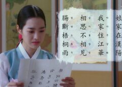 不滅の恋人 13話の動画
