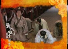 美人心計 14話の動画