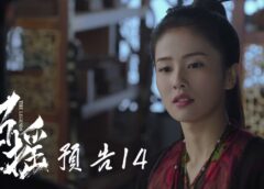 招揺 14話の動画