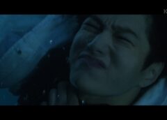ただひとつの愛 14話 動画