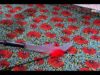 武神 14話 動画