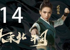 大宋少年志 14話の動画