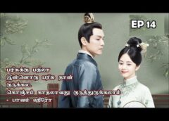 恋心は玉の如き 14話の動画