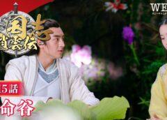 三国志～趙雲伝～ 15話の動画