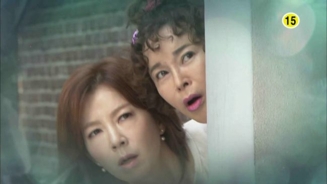 女の秘密 15話 動画 無料視聴で韓国ドラマを見る情報サイト Kbs