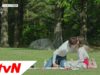 カノジョは嘘を愛しすぎてる 16話（最終回）の動画