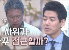 いとしのソヨン 17話の動画
