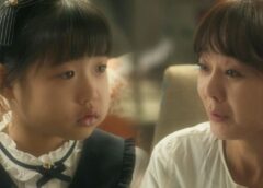 復讐の女神 17話の動画