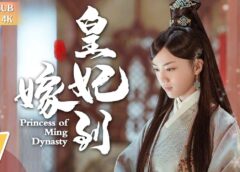 大明皇妃 17話の動画