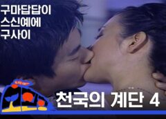 天国の階段 17話の動画
