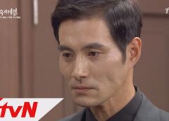 家族の秘密 17話の動画