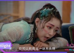 親愛なる君主様 19話の動画