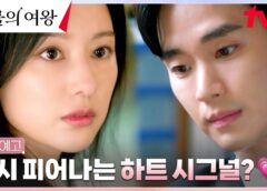 涙の女王 2話の動画