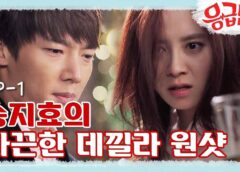 エマージェンシー・カップル 2話の動画