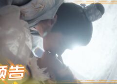 皇太子妃はシンデレラ 20話の動画