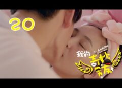 私の妖怪彼氏 20話の動画